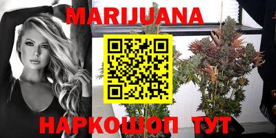 крисы Заводоуковск