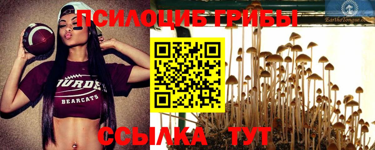 Псилоцибиновые грибы мухоморы  Псилоцибиновые грибы Cubensis  Вход с VPN  Медногорск 