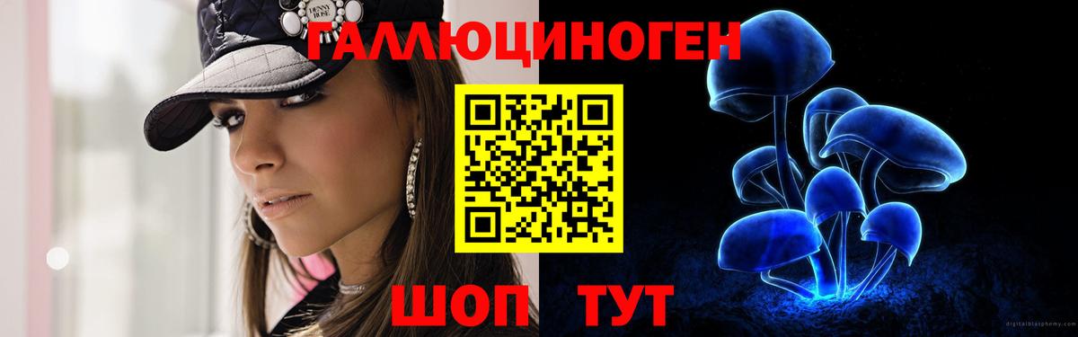 Галлюциногенные грибы Cubensis Медногорск